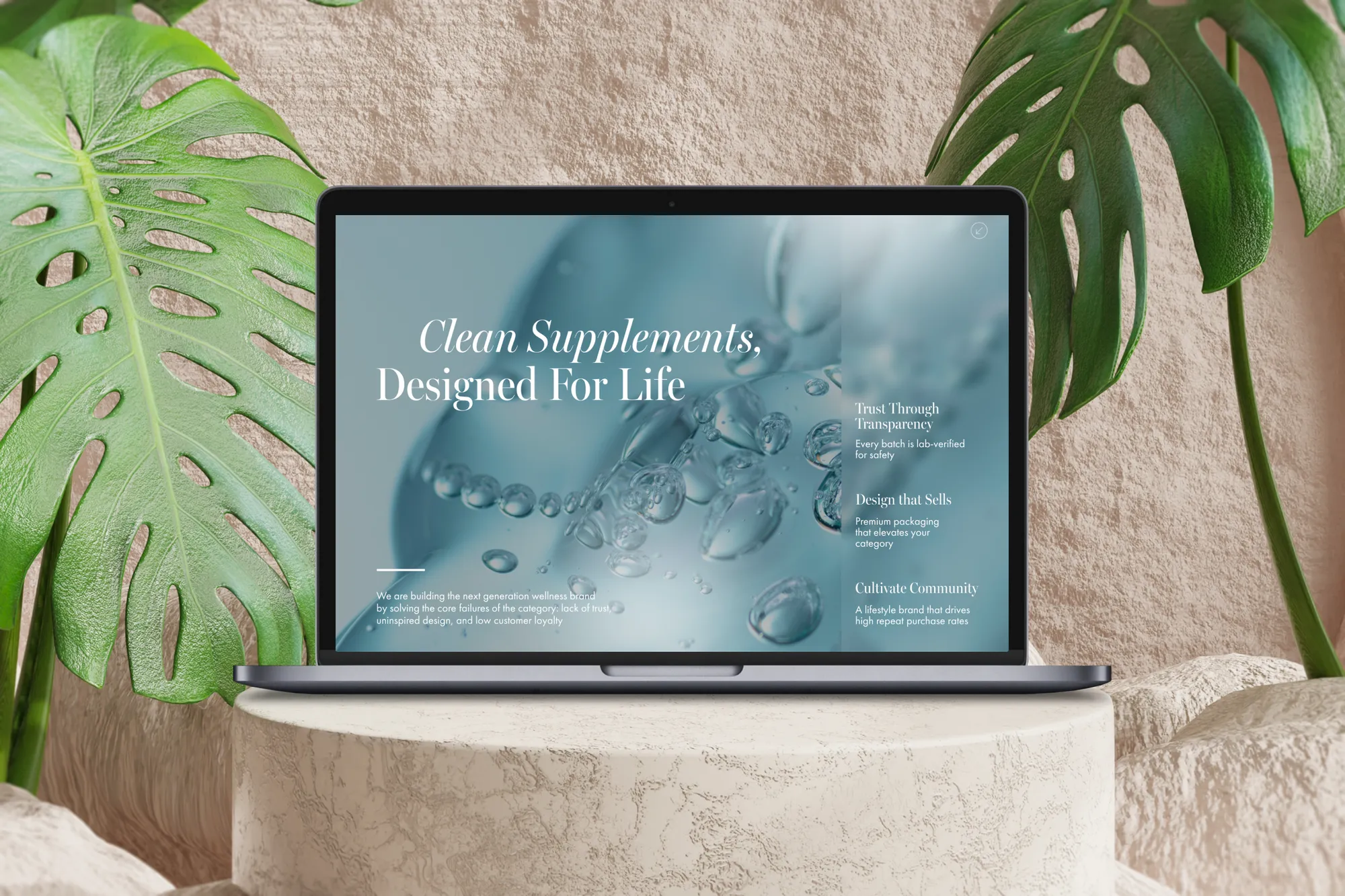 Wellness Brand pitch deck — cover and opening slides